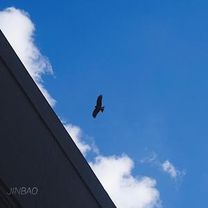 🔞成人有声小说
